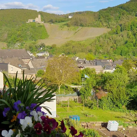 Bauer Bernkastel-Kues