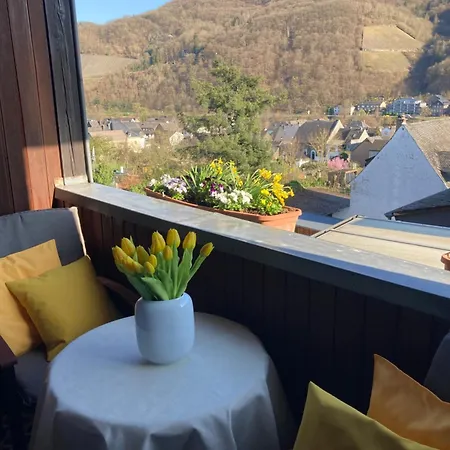 Bauer Bernkastel-Kues