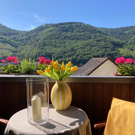 Bauer Apartment Bernkastel-Kues
