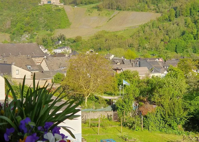 Bauer Bernkastel-Kues