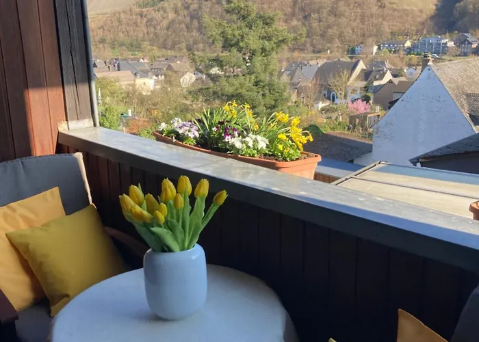 Bauer Bernkastel-Kues